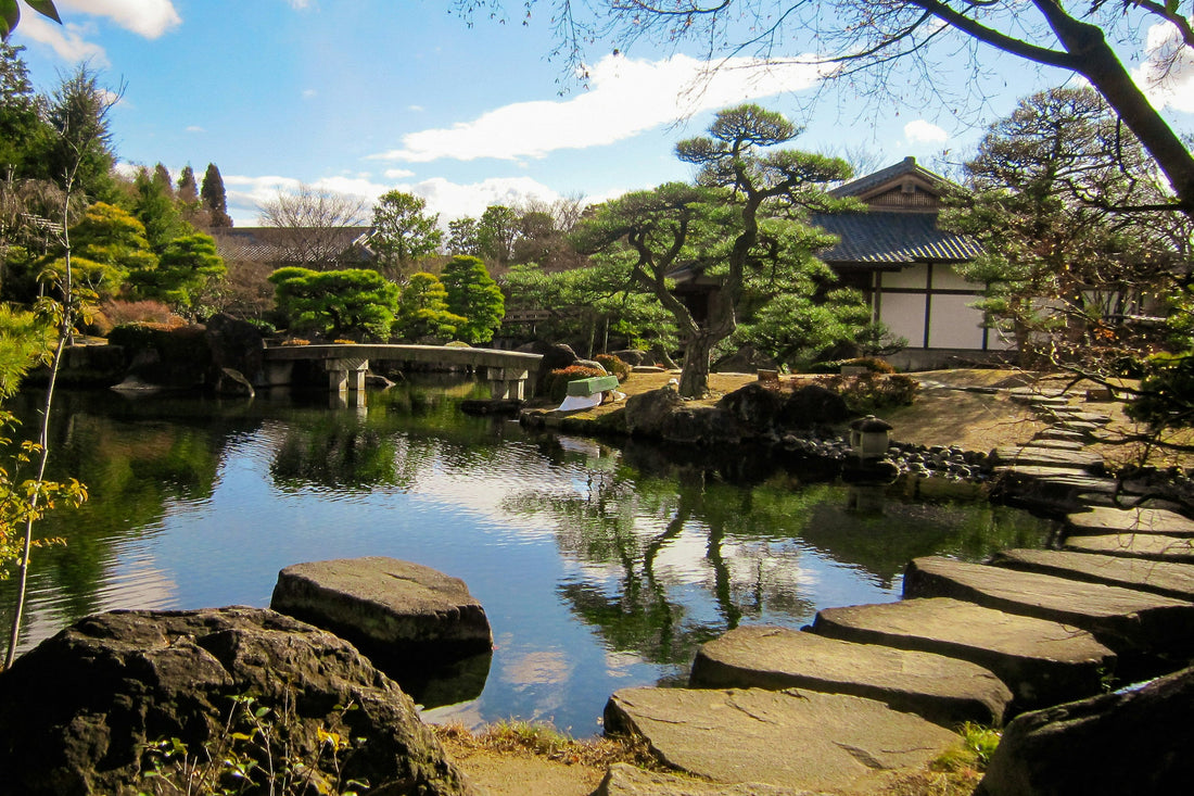 AYA - The Origin Story by Founder, Bonny Hall