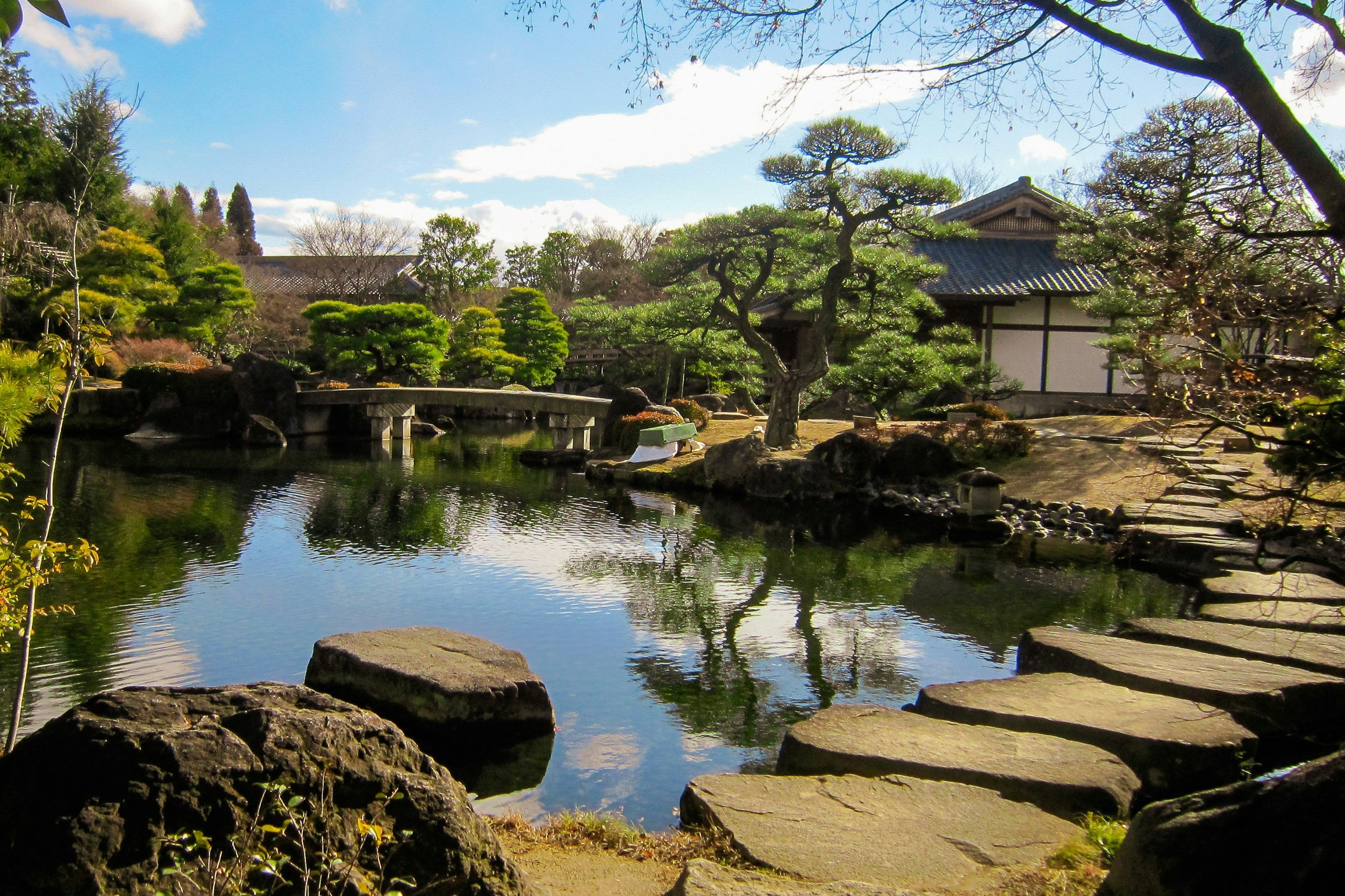 AYA - The Origin Story by Founder, Bonny Hall